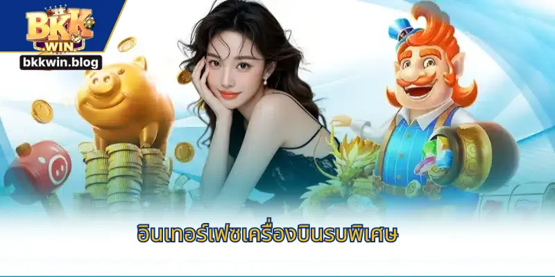 อินเทอร์เฟซเครื่องบินรบพิเศษ