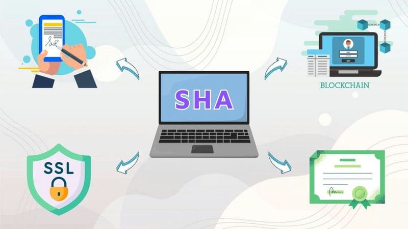 Đại lý web là gì?